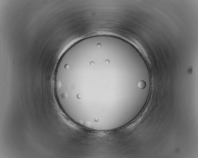 X0000090910814200707301031