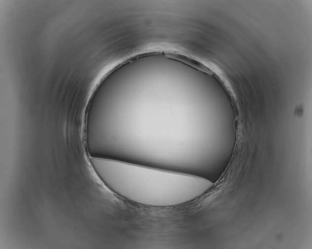 X0000090910815200707301031