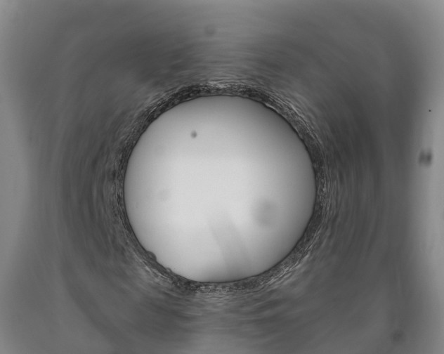 X0000090910817200707301031