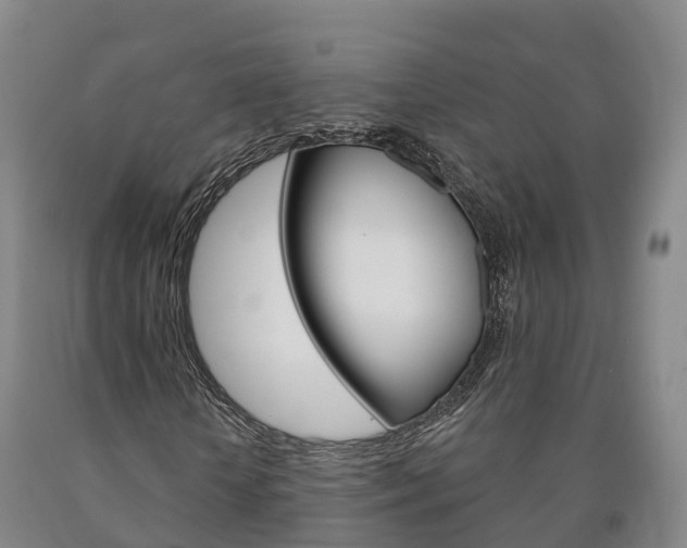 X0000090910818200707301031