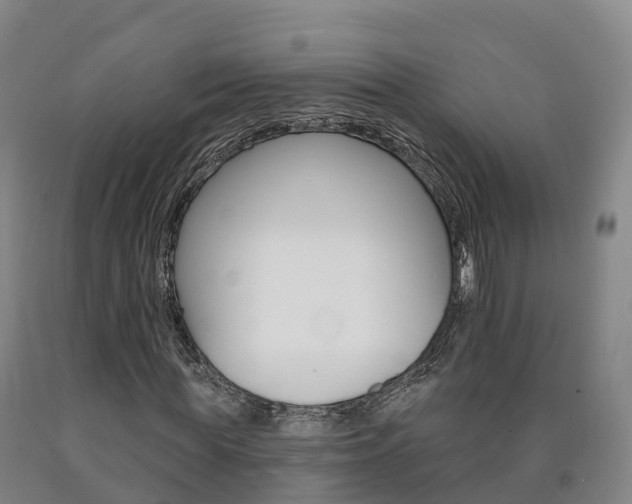 X0000090910819200707301031