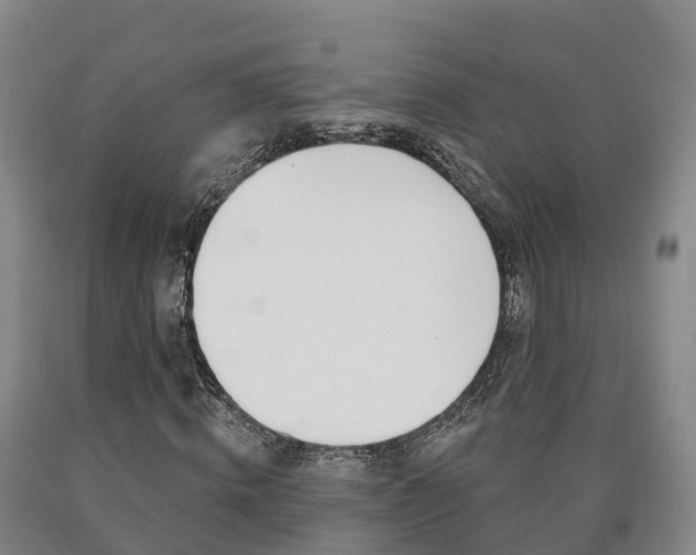 X0000090910820200707301031