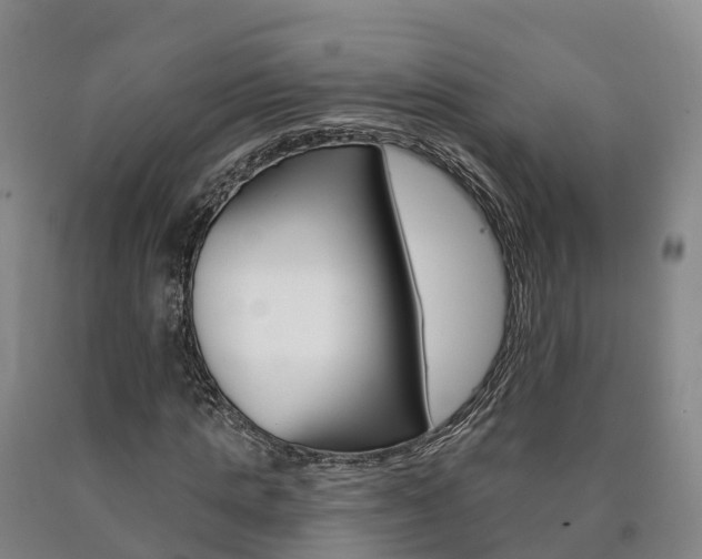 X0000090910821200707301031