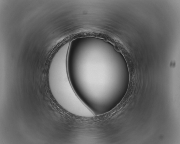 X0000090910822200707301031
