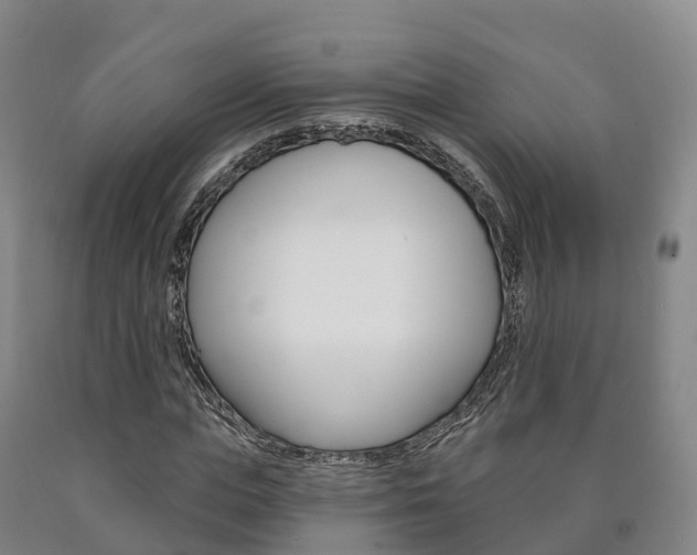 X0000090910823200707301031