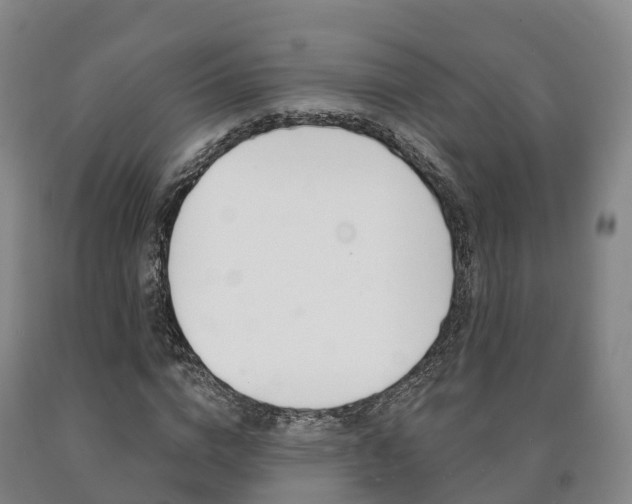 X0000090910824200707301031