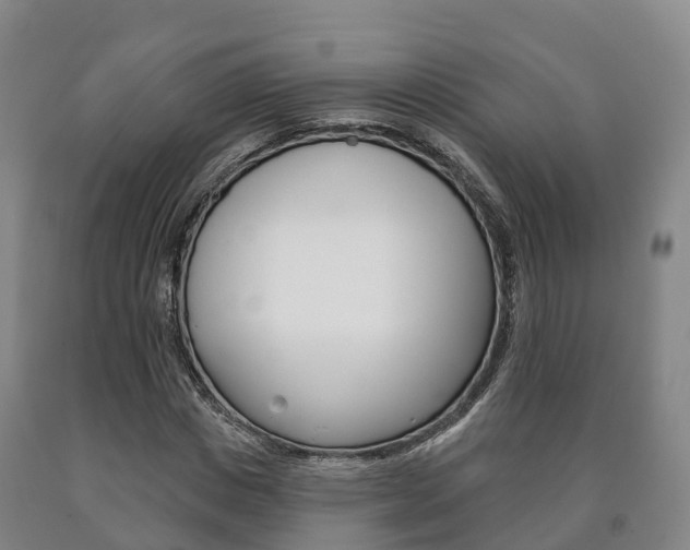 X0000090910825200707301031