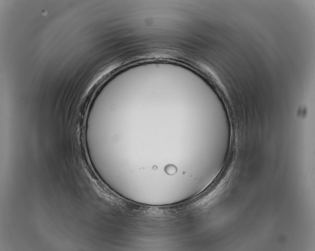 X0000090910827200707301031
