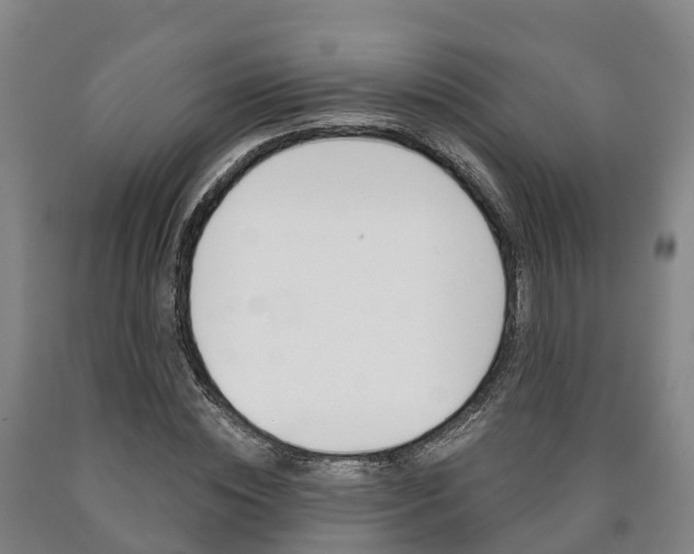 X0000090910828200707301031