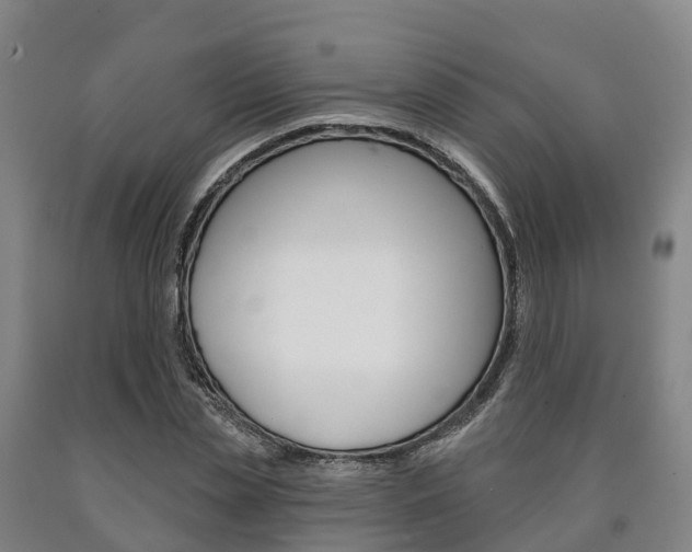 X0000090910829200707301031