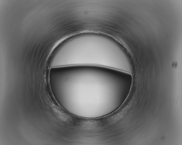 X0000090910830200707301031