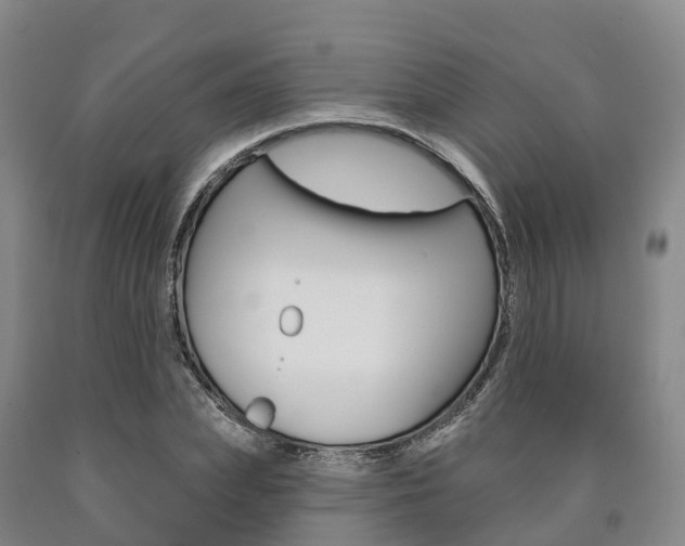 X0000090910831200707301031