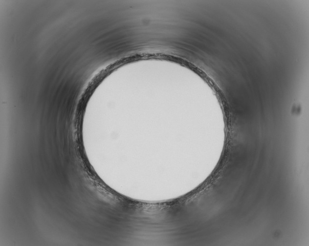 X0000090910832200707301031