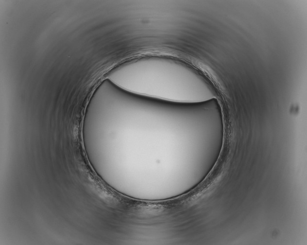 X0000090910833200707301031