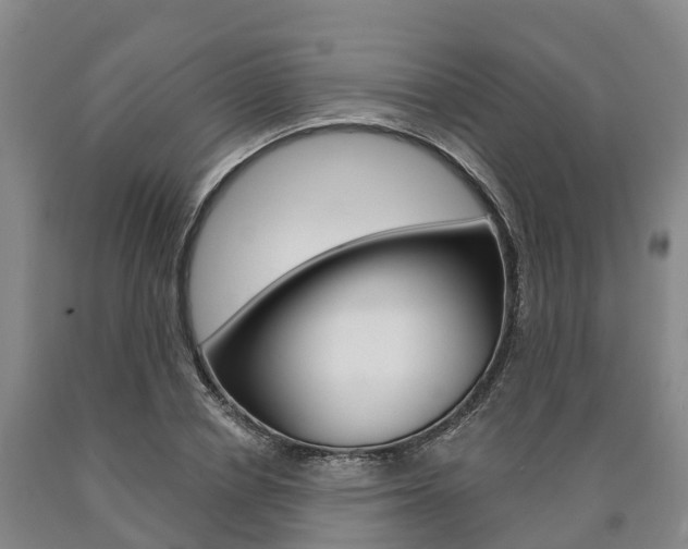 X0000090910834200707301031