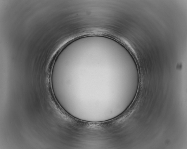 X0000090910835200707301031
