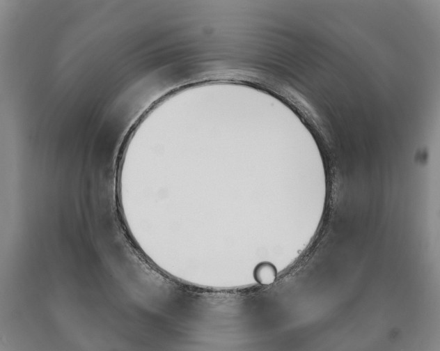 X0000090910836200707301031
