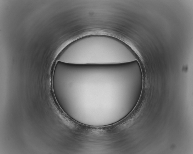 X0000090910837200707301031