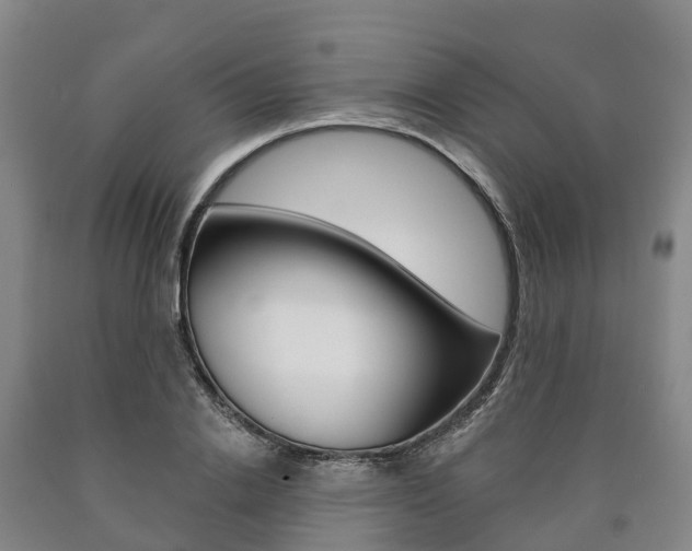X0000090910838200707301031