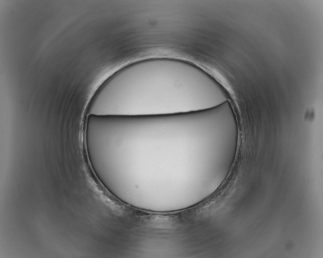 X0000090910839200707301031