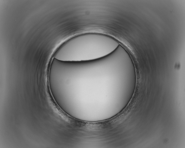 X0000090910840200707301031