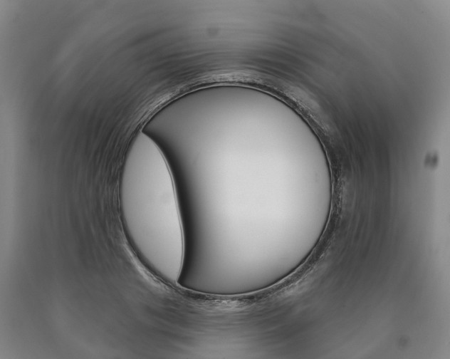 X0000090910841200707301031