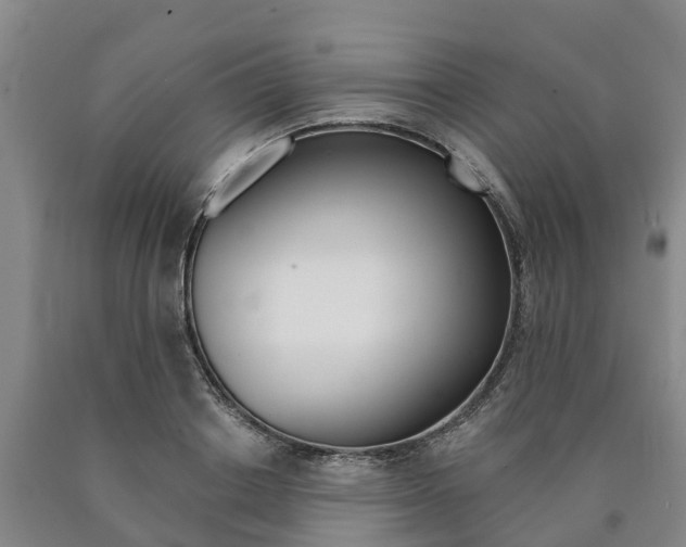 X0000090910842200707301031