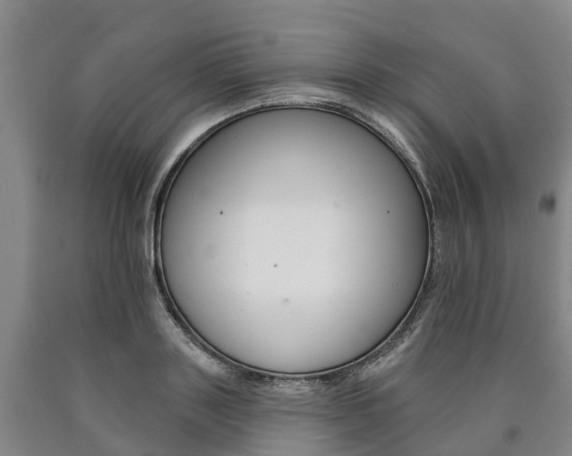 X0000090910843200707301031