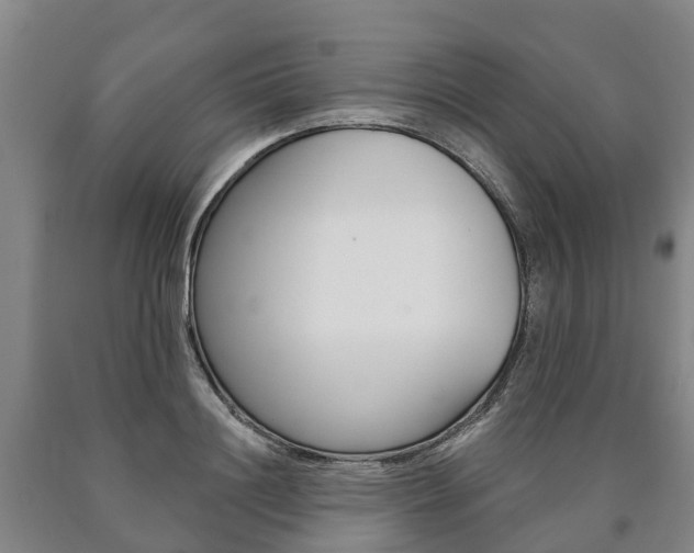 X0000090910844200707301031