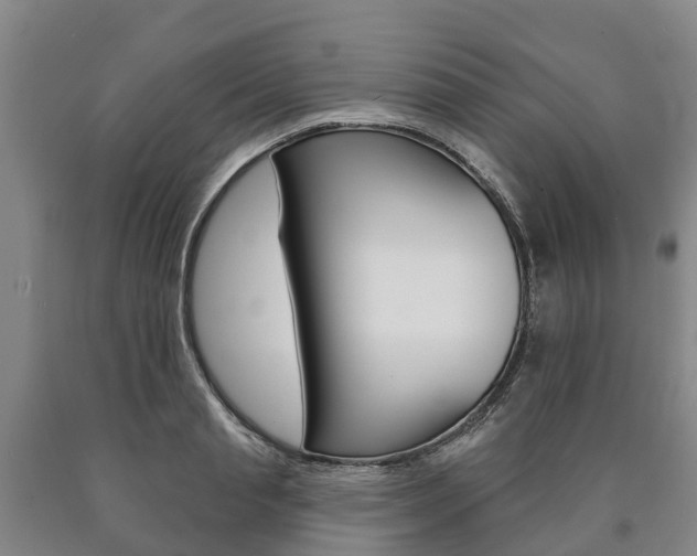 X0000090910845200707301031