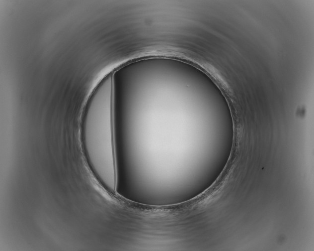 X0000090910846200707301031