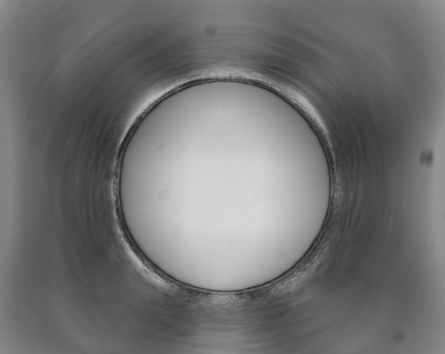 X0000090910847200707301031