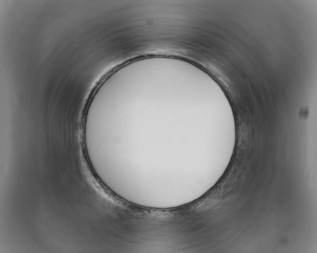 X0000090910848200707301031
