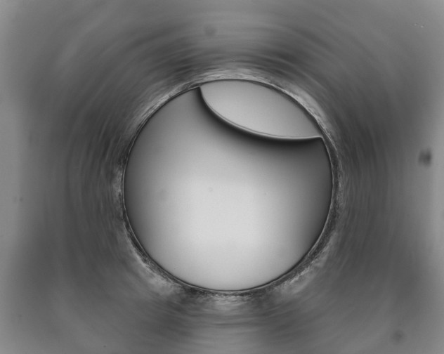 X0000090910849200707301031