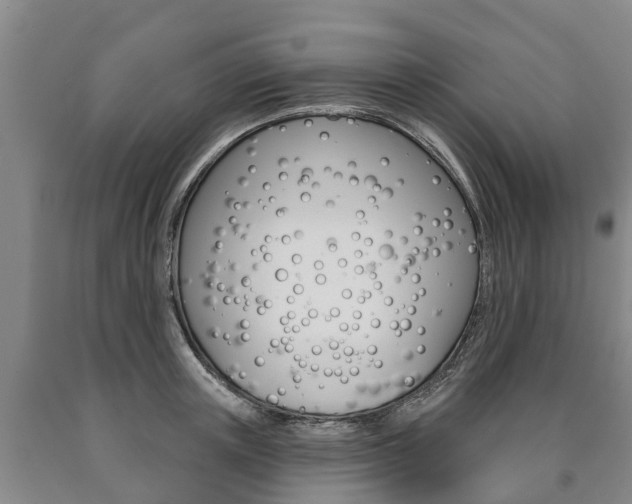 X0000090910851200707301031
