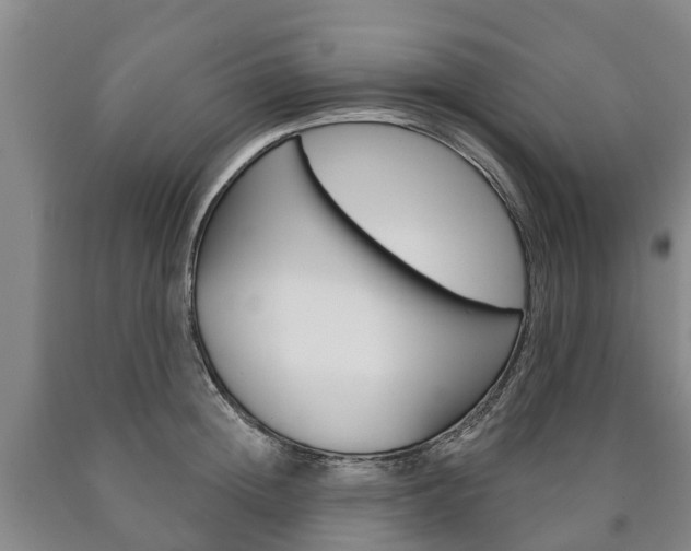 X0000090910852200707301031