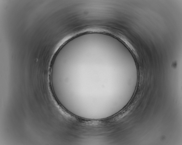 X0000090910853200707301031