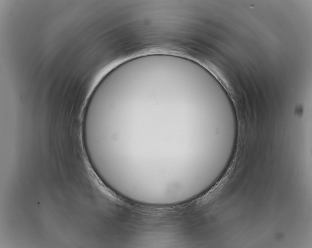 X0000090910854200707301031