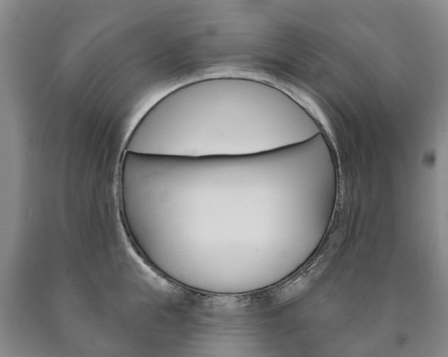 X0000090910855200707301031
