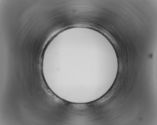 X0000090910856200707301031