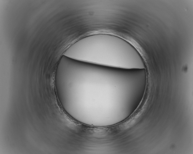 X0000090910857200707301031