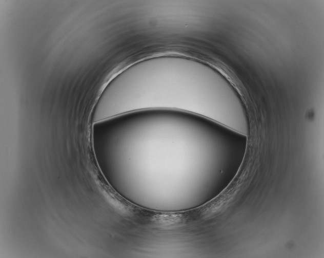 X0000090910858200707301031
