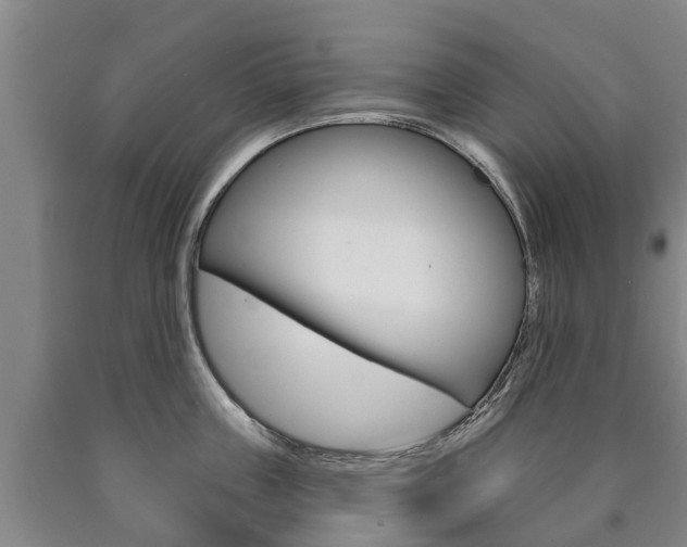 X0000090910859200707301031