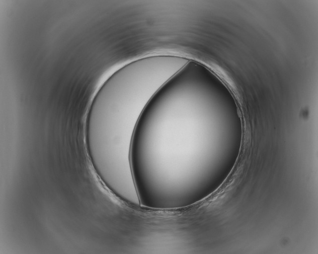 X0000090910862200707301031