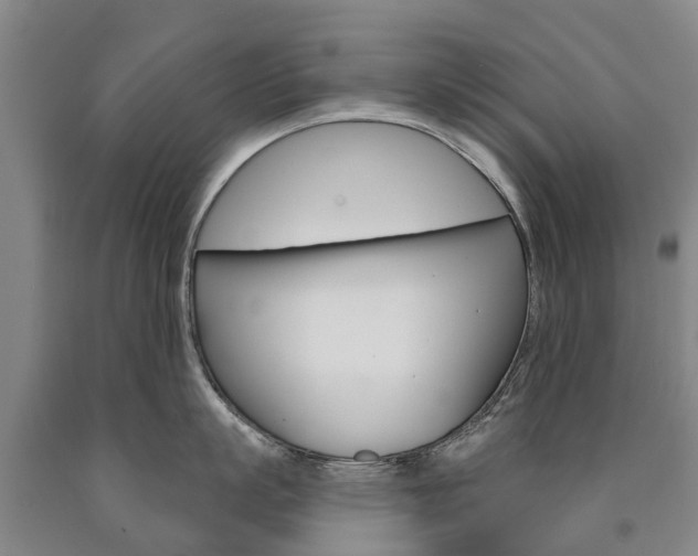 X0000090910863200707301031