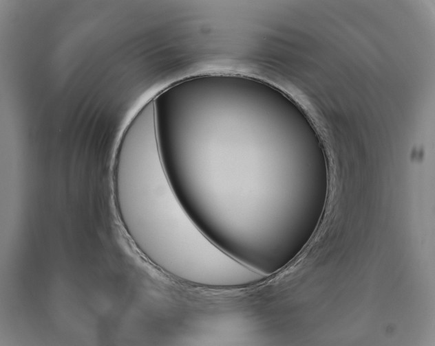 X0000090910864200707301031