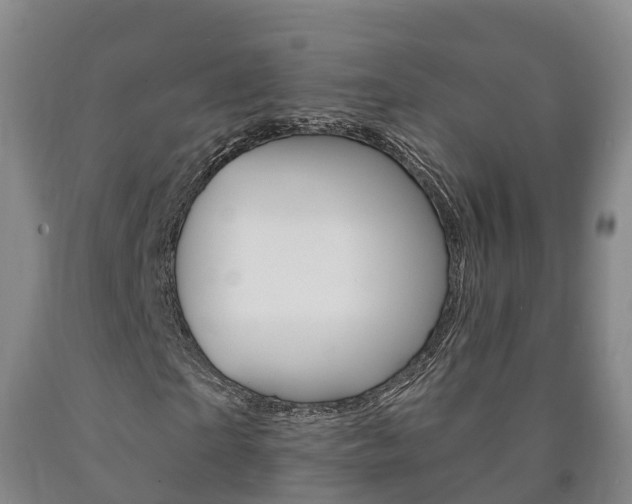 X0000090910865200707301030