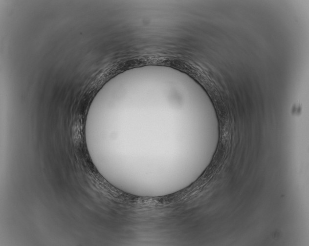 X0000090910866200707301030