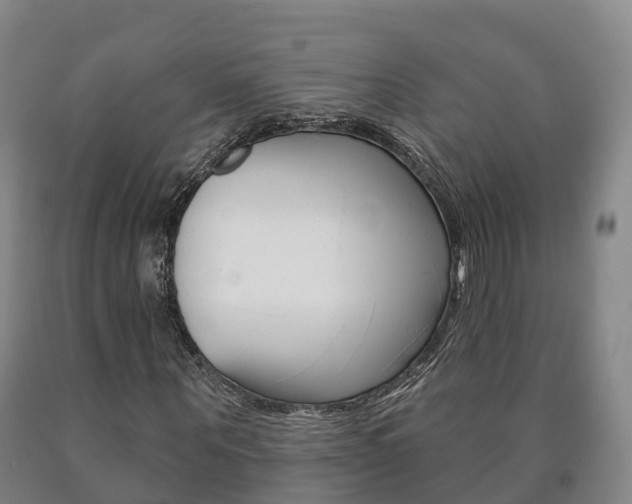 X0000090910867200707301030