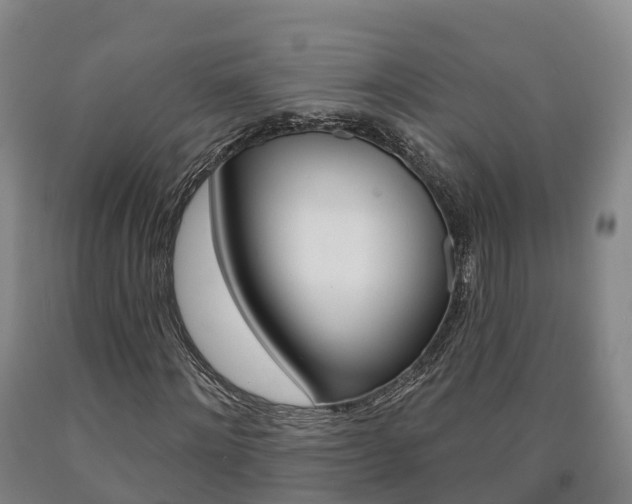 X0000090910868200707301030